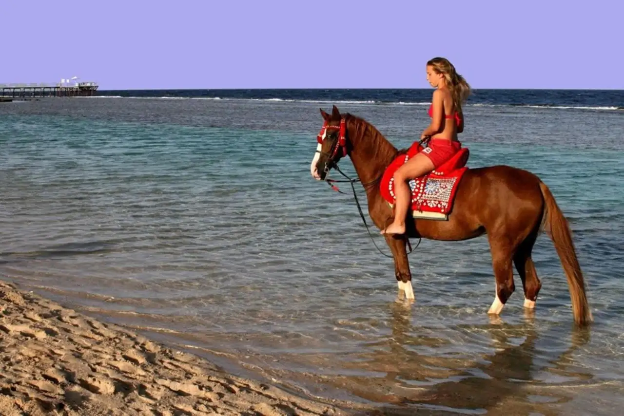 Sentido Akassia Beach in Marsa Alam paardrijden op het strand
