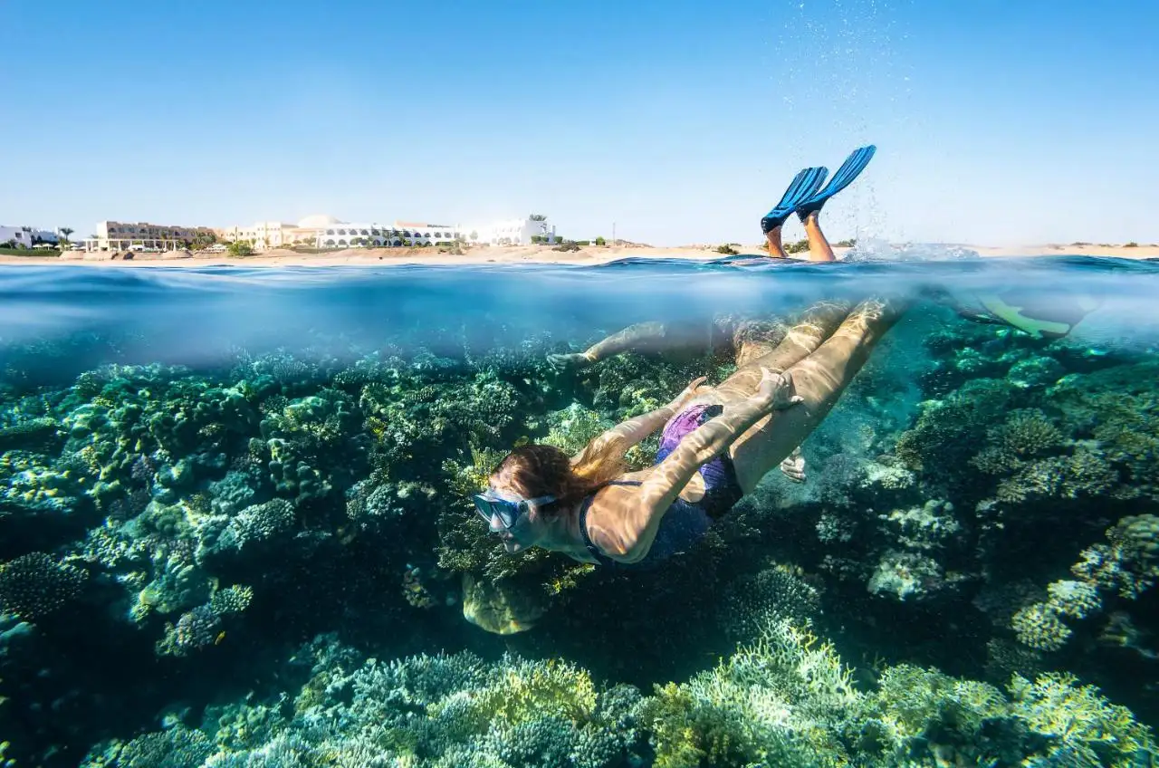 Koraal voor de deur bij Marsa Alam