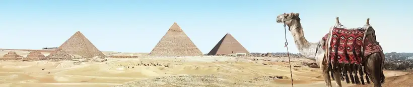 Privédagtrip naar Caïro per vliegtuig bij Marsa Alam
