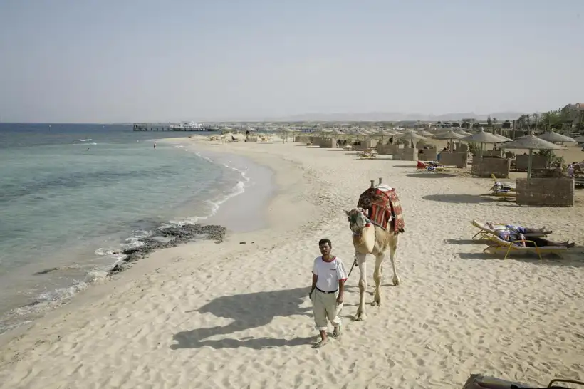 Shams Alam Beach Resort in Marsa Alam de strandkameel bij het resort