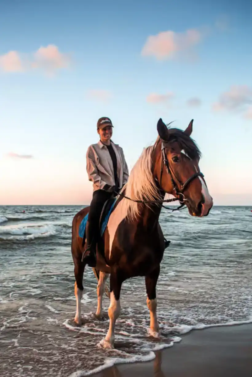 Paardrijden langs zee en door de woestijn bij Marsa Alam