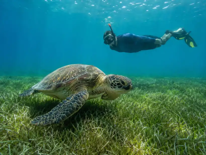 Snorkelen bij Abu Dabbab Bay: arrangement boeken